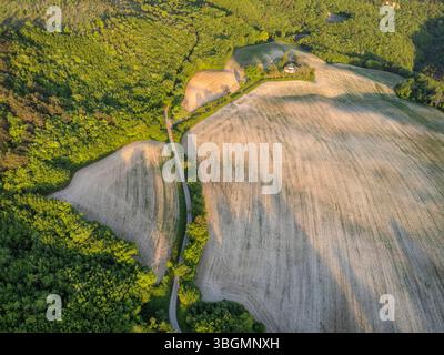 Aus der Vogelperspektive auf ein bewirtschaftetes Feld und ein verlassenes Bauernhaus in der ländlichen Landschaft des Cesane-Parks in der Nähe von Urbino, Marken, Mittelitalien Stockfoto