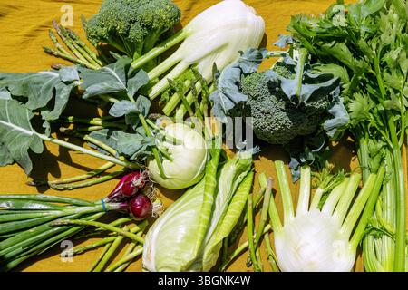 Kohlrabi, Fenchel, Brokkoli, Spitzkohl, Sellerie und grüner Spargel mit roten Frühlingszwiebeln auf einem senfgelben Tuch Stockfoto