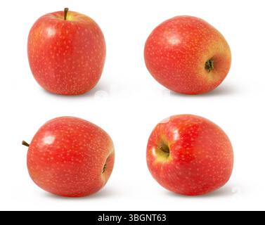Sammlung von ganzen roten Äpfeln isoliert auf weißem Hintergrund. Rosafarbener saftiger Apfel isoliert. Stockfoto