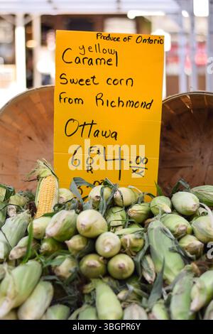 Farmers Market Stand mit Zuckermais aus Richmond Ontario am ByWard Market in Ottawa Stockfoto