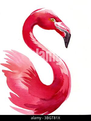 Rosafarbener Flamingovogel. Handgezeichnete Aquarellillustration Stockfoto