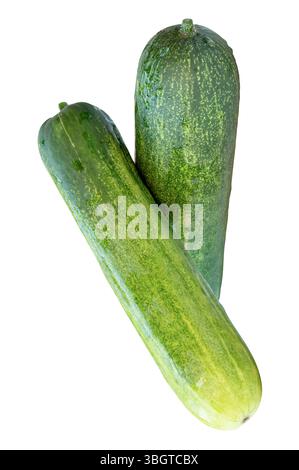 Die Draufsicht von zwei langen grünen Gurken in Stapelform und Kreuzform in vertikaler Form ist auf weißem Hintergrund mit Beschneidungspfad isoliert. Stockfoto