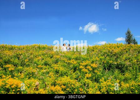 Zwei Frauen stehen auf einem großen Feld blühender Goldenrod, an einem sonnigen, blauen Himmel Tag im Sommer. Stockfoto