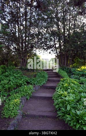 Eine Steintreppe führt durch einen üppigen Gartenweg, der von dichten Bodendecken und Reifen Bäumen gesäumt ist, hinauf zu einer hellen Öffnung an der Spitze Stockfoto