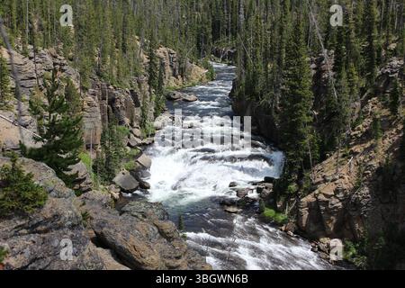 Ein lebendiger Fluss kaskadiert über felsiges Gelände und fließt durch einen engen Canyon, der von hohen Nadelbäumen gesäumt ist, und zeigt die Schönheit der Natur in einem tr Stockfoto