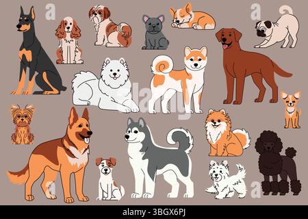 Illustration zur Sammlung von Hunderassen. Eine Vielzahl von niedlichen Hunderassen, einschließlich Akita Inu, Labrador, Pommern, Doberman, und mehr, in einem modernen Stock Vektor
