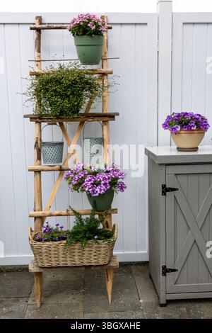 Rustikale Holzleiter, die an einen weißen Zaun gelehnt ist, verwandelt sich in einen bezaubernden vertikalen Garten mit bunten Blumen in Töpfen, Eimern und einem W Stockfoto