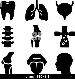 Menschliches Körperorgan und Anatomie Silhouette Symbol Set | medizinische Vektor Illustration Stock Vektor