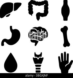 Innere menschliche Organe und Körperteile Silhouette Vektor Set | medizinische Icons Collection Stock Vektor