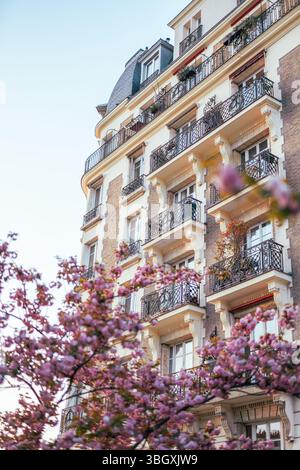 Wunderschöne rosafarbene Kirschblüten umgeben ein klassisches Pariser Apartmentgebäude, das das Wesen des Frühlings in der Stadt mit seinen kunstvoll verzierten Eisenbalkonen einfängt Stockfoto