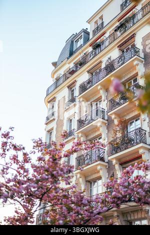 Eine wunderschöne Frühlingsszene in Paris, wo leuchtende rosa Kirschblüten einen weichen Rahmen für ein elegantes, klassisches Apartmentgebäude mit kompliziertem ir bilden Stockfoto
