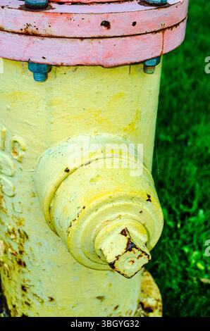 Nahaufnahme eines gelb-roten Hydranten neben einem grasbewachsenen Bereich Stockfoto