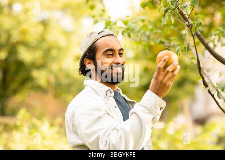 Junger Mann mit Korbernte im Gartenapfel Stockfoto