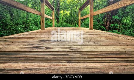 Eine kürzlich erbaute hölzerne Fußgängerbrücke über einem Feuchtgebiet. Flachwinkelansicht. Stockfoto