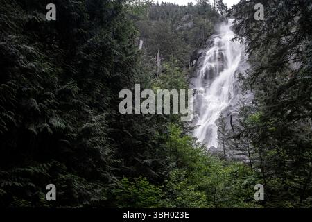 BC00926-00....... British Columbia - Shannon Falls bei Squamish. Shannon Falls Provincial Park. Stockfoto