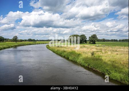Grüne Ufer des Dortmunder Ems-Kanals um Geeste-Dalum, Niedersachsen, Deutschland, Europa Stockfoto