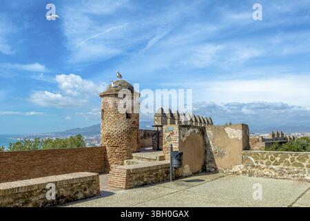 Die Mauern des Castillo de Gibralfaro oder Alcazar, einer spanischen Festung, in Malaga Stadt, Andalusien Stockfoto