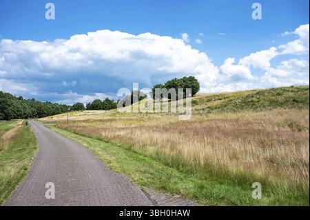 Asphaltstraße durch die Wiesen um Geeste-Dalum, Niedersachsen, Deutschland, Europa Stockfoto