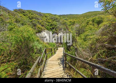 Holztreppe von Elephant Rocks zum Elephant Cove Beach im William Bay National Park in der Nähe von Dänemark, Westaustralien. Die beliebten Elephant Rocks W Stockfoto