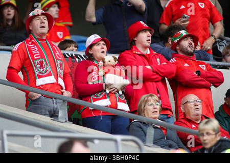 Cardiff, Wales, Großbritannien. Juni 2025. Walisische Fans während der FIFA Fussball-Weltmeisterschaft, der Europameisterschaft, des Spiels der Gruppe J zwischen Wales und Liechtenstein im Cardiff City Stadium. Credit Glitch Images/Alamy Live News Stockfoto