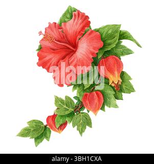 Abucheisenzweig mit roter Hibiskusblüte verlängertes Sommerarrangement. Handgezeichnete Aquarelle botanische Kunst. Grafisches Element für Urlaubsstimmung. Perfekt für Stockfoto