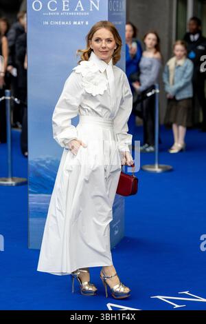 Stef Van Rappard Celebs besuchen Ocean mit David Attenborough World Film Premiere in der ...