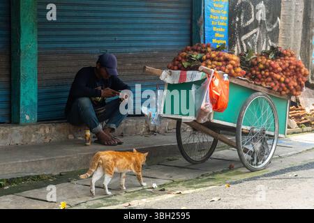 Jakarta, Indonesien - 9. Februar 2025: Ein Mann sitzt auf dem Bürgersteig neben einem Wagen voller Früchte. Eine Katze läuft vorbei Stockfoto