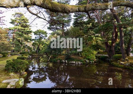 Auf der stillen Oberfläche eines Baches im Kenrokuen Garden, eingerahmt von moosigen Ufern und schattigen Ästen, tauchen Reflexe von angelegten Kiefern und dichtem Laub auf Stockfoto