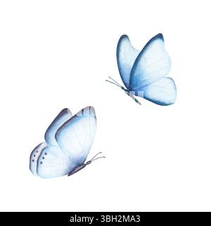 Blaue Schmetterlinge isoliert auf weißem Hintergrund. Handgezeichnete Aquarellillustration. Stockfoto