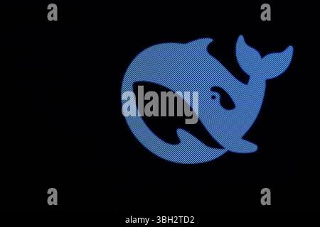 Rottweil, Deutschland. Juni 2025. Die App des chinesischen Start-ups DeepSeek ist auf dem Display eines iPhone zu sehen. Quelle: Silas Stein/dpa/Alamy Live News Stockfoto