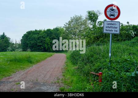 Rochlitz - Tragisches Ende einer Vermisstensuche: Rentner wird tot in Waldstück gefunden 02.06.2025 gegen 18 Uhr Rochlitz, Pestweg ein Polizeihubschrauber und Suchhunde kam am Montagabend in Rochlitz Landkreis Mittelsachsen im Rahmen einer Vermisstensuche zum Einsatz. Seit dem Mittag wurde ein 87-jähriger Mann vermisst, wie ein Sprecher der Polizeidirektion Chemnitz bestätigte. Gegen 18 Uhr wurde der Senior schließlich tot im Bereich Pestweg entdeckt unweit des Rochlitzer Schlosses und des Ortsteils Noßwitz. Zuvor hatten Einsatzkräfte aus der Luft und am Boden nach dem Mann gesucht. Der Po Stockfoto