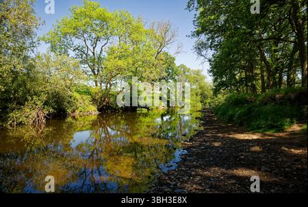Blauer Himmel und Bäume spiegeln sich im Frühsommer im Wasser des Flusses Goyt, Marple, Stockport, Greater Manchester. Stockfoto