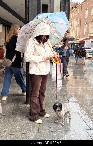 Exeter Devon, Großbritannien. Juni 2025. Wetter in Großbritannien: Nass und regnerisch in Exeter, Devon. Hinweis: Nidpor/Alamy Live News Stockfoto