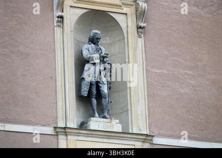 Statue von Carl von Linné an einer Fassade in Stockholm – Denkmal des schwedischen Naturforschers Stockfoto
