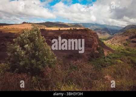 Waipoo fällt Tropfen 800 Füße an der Unterseite des Waimea Canyon auf Kauai, Hawaii Stockfoto