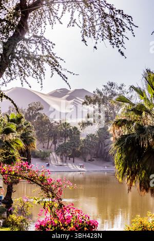 Sanddünen und ein Teich in der Oase Huacachina in der Nähe von Ica Stadt, Peru Stockfoto