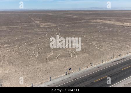 Das Baumbild der Nazca-Linien, Peru Stockfoto