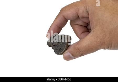 Eine Hand hält ein kleines dunkles Kohlestück sanft vor weißem Hintergrund und zeigt seine Textur und Form. Das Bild hebt das natürliche, rustikale Erscheinungsbild hervor Stockfoto