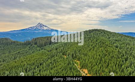 Ein malerischer Blick auf Mount Hood, Oregon, der sich über einem dichten Wald erhebt. Die Landschaft zeigt die natürliche Schönheit des pazifischen Nordwestens. Stockfoto