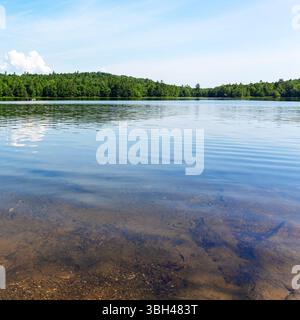 Sanborn Teich mit einem Blick auf Felsen in der Nähe der Küste und die weit entfernten Bäume auf der gegenüberliegenden Seite im Sommer in Maine. Stockfoto