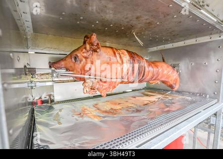 Grillen Sie mit Jungschwein auf einem Grill, ganzer gebratener Ferkelkörper, der sich auf dem Grill dreht. Großes Barbecue beim Kochen von Fleisch. Stockfoto