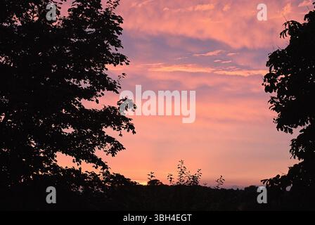 Romantischer Sonnenuntergang mit einem Himmel in leuchtenden Rosa-, Rose- und Violettönen, eingerahmt von den Silhouetten der Bäume. Stockfoto
