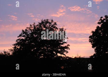 Romantischer Sonnenuntergang mit einem Himmel in leuchtenden Rosa-, Rose- und Violettönen, eingerahmt von den Silhouetten der Bäume. Stockfoto