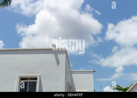 Detail eines modernen, flachgedeckten Gebäudes. Die scharf weißen Wände stehen im Kontrast zum blauen Himmel und zeigen minimalistisches architektonisches Design an einem sonnigen Tag Stockfoto