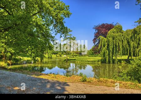 Spring Park. See im Frühjahr Park. Frühling Landschaft. Begren op Zoom, Holland, Niederlande, HDR Stockfoto