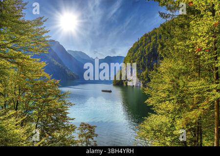 Waldfenster mit Seeblick bei Schönau am Königssee, Königssee, Nationalpark Berchtesgaden, Bayern, Deutschland, Europa Stockfoto