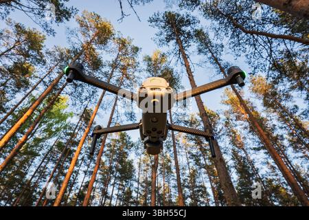Flacher Blick auf eine moderne Drohne mit Kohlefaserarmen, die unter einem Baldachin aus hohen Kiefern fliegen. Stockfoto
