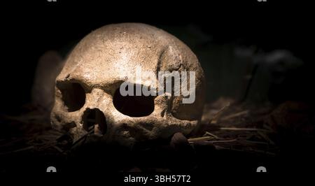 Menschlicher gruseliger Schädel, beleuchtet von einem sanften Licht. Im Hintergrund, Dunkelheit. Ideal für Konzepte und Veranstaltungen Stockfoto