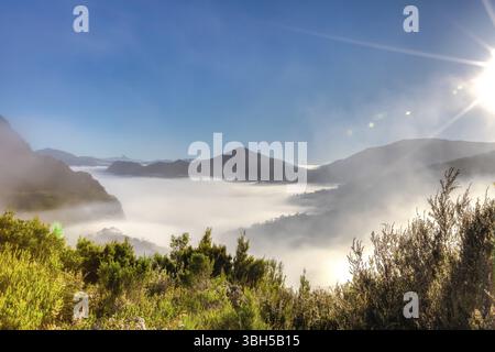Mystiker und surreale Landschaft mit morgen Nebel in den Bergen auf dem Weg nach dem Cradle Mountain-Lake St Clair National Park, Tasmanien, Australien. Kopieren Sie sp Stockfoto
