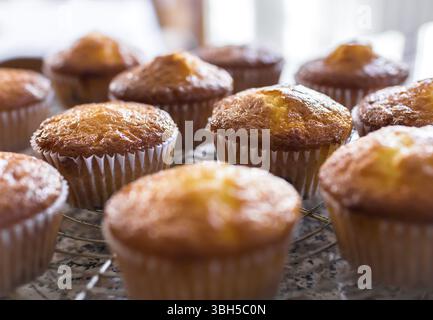 Batch an hausgemachten frisch gebackenen Kuchen oder Muffins Kühlung auf einem Regal in der Küche in der Nähe zu sehen, mit selektiven Fokus. Defokussierten blurry Ba Stockfoto